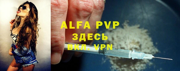 спиды Ладушкин