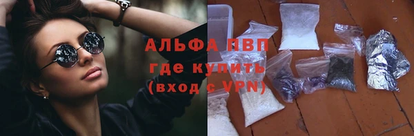PSILOCYBIN Анжеро-Судженск