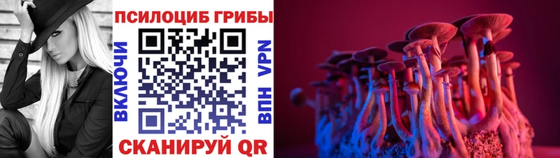 Псилоцибиновые грибы Magic Shrooms Шиханы